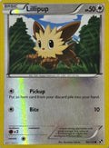 Pokémon Tcg Lillipup 80/114 Reverse