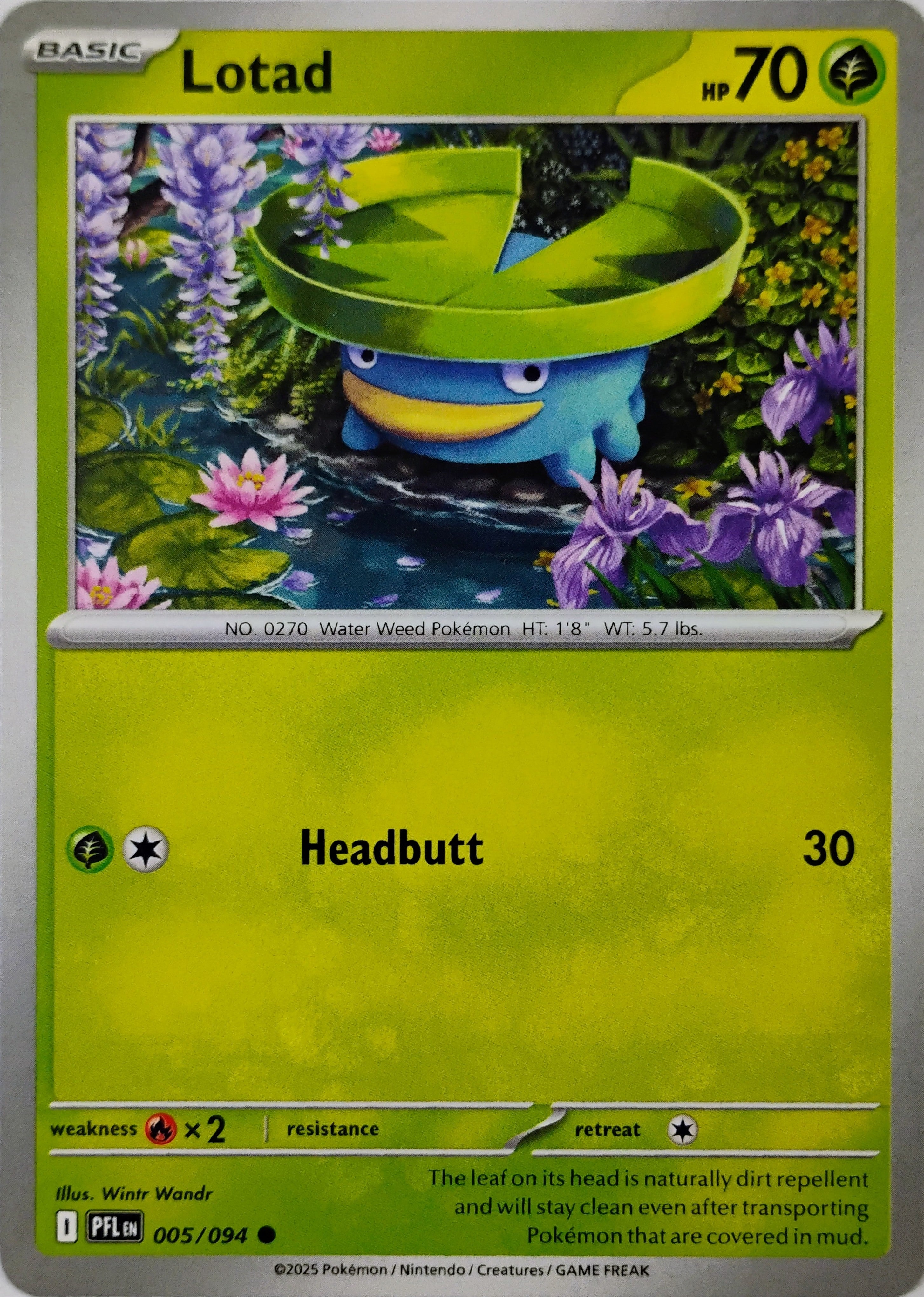 Pokémon tcg Lotad 005/094