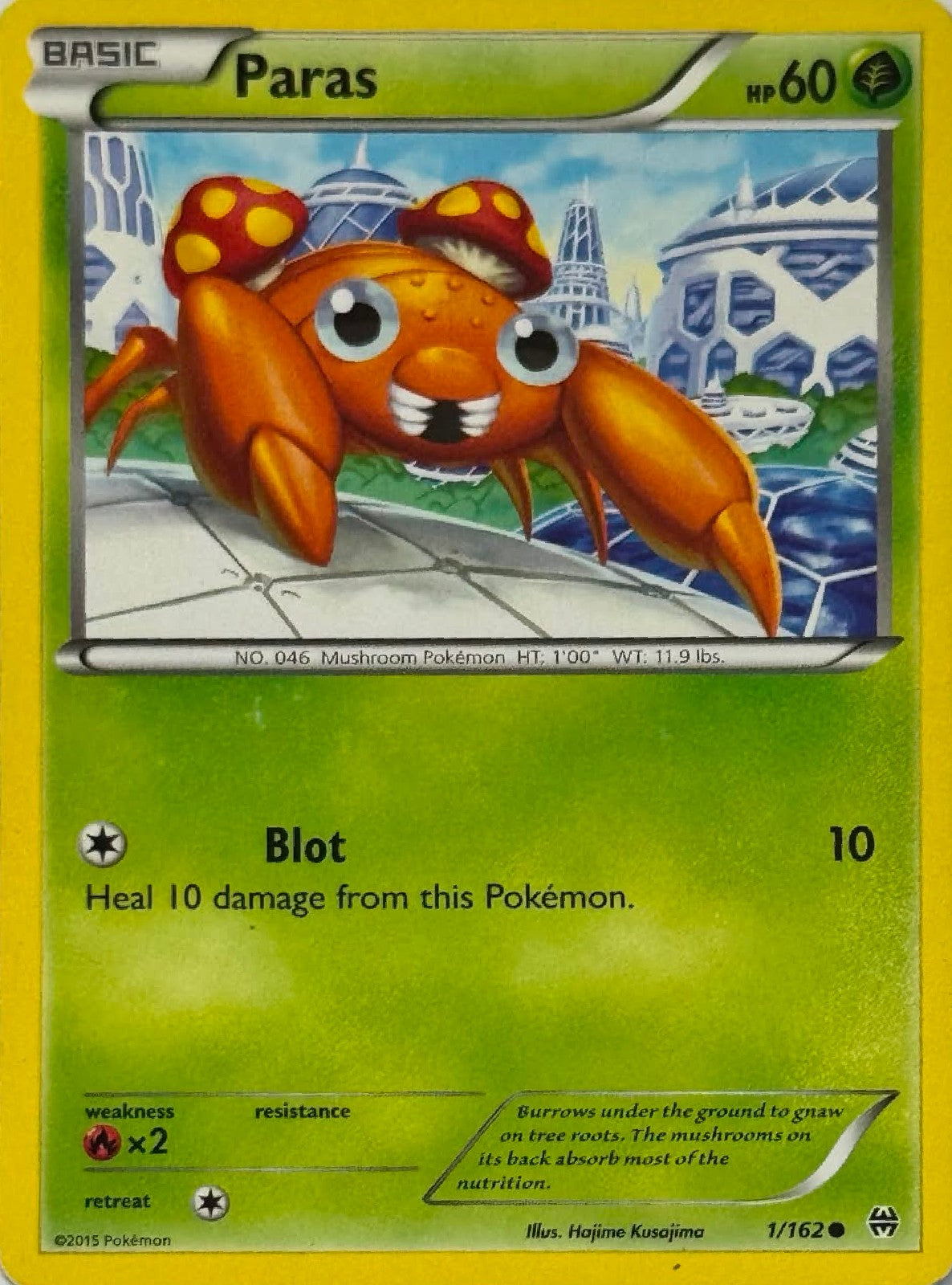 Pokémon Tcg Paras 1/162