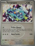 Pokémon Tcg Terapagos 178/217 (Love Ball)