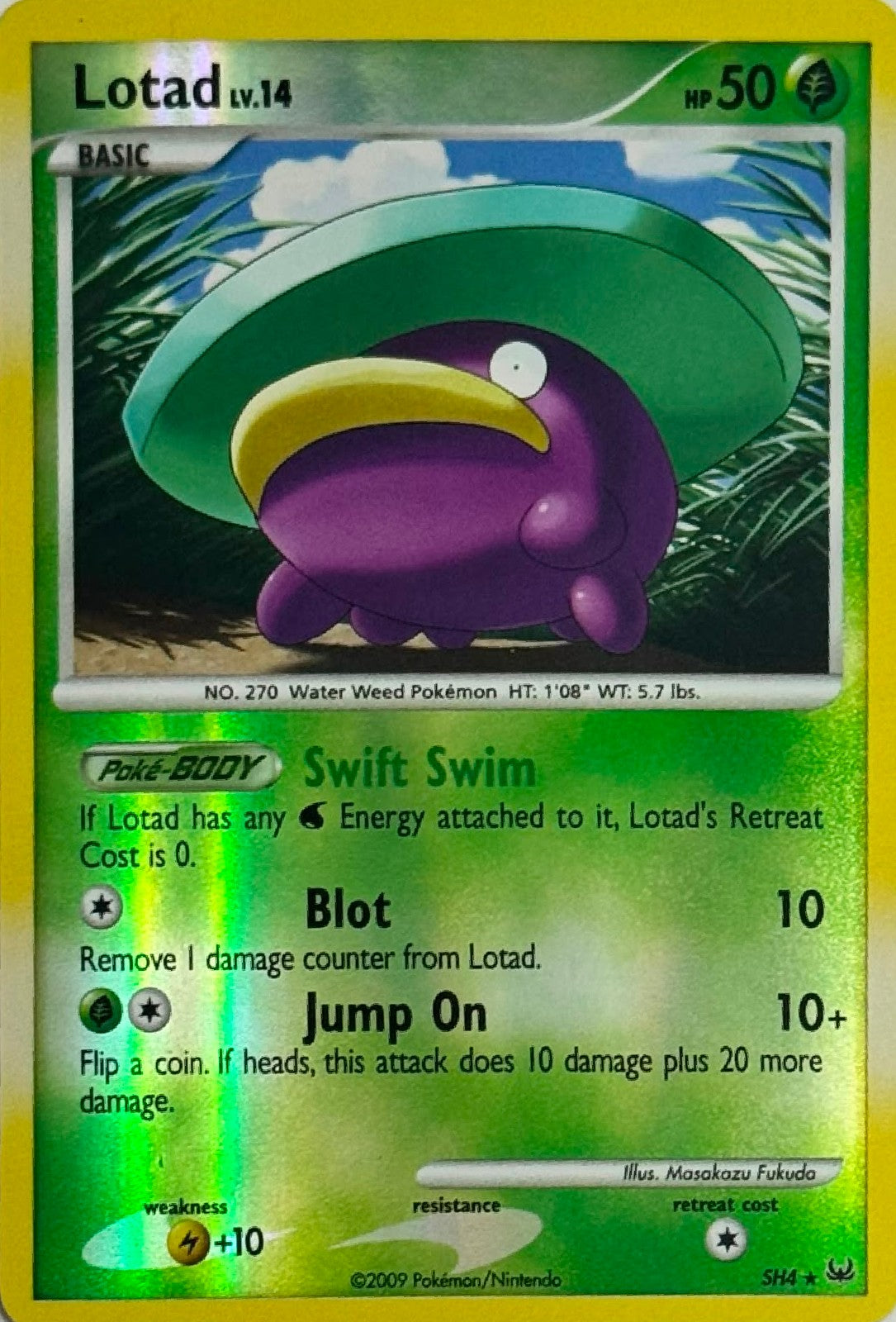 Pokémon Tcg Lotad Lv.14 SH4 Reverse