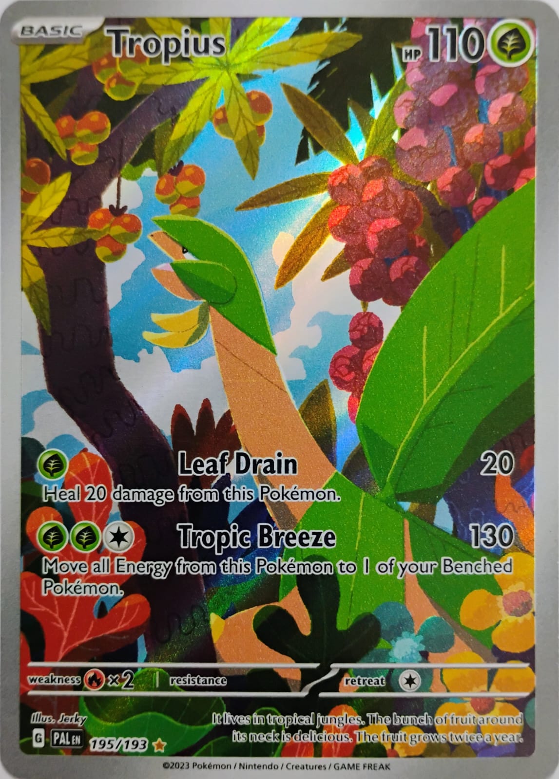 Pokémon Tcg Tropius 195/193