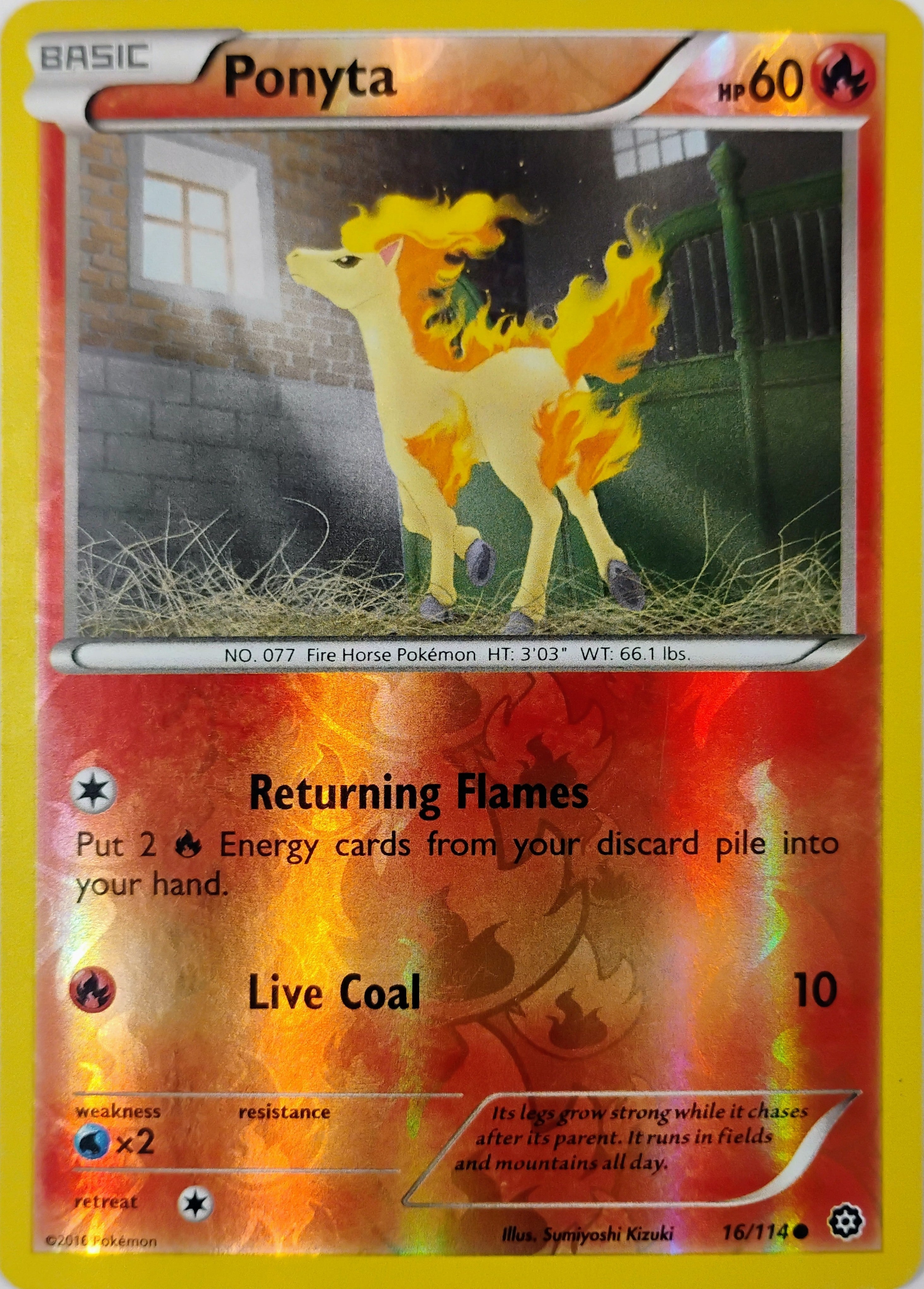 Pokémon tcg Ponyta 16/114 Reverse