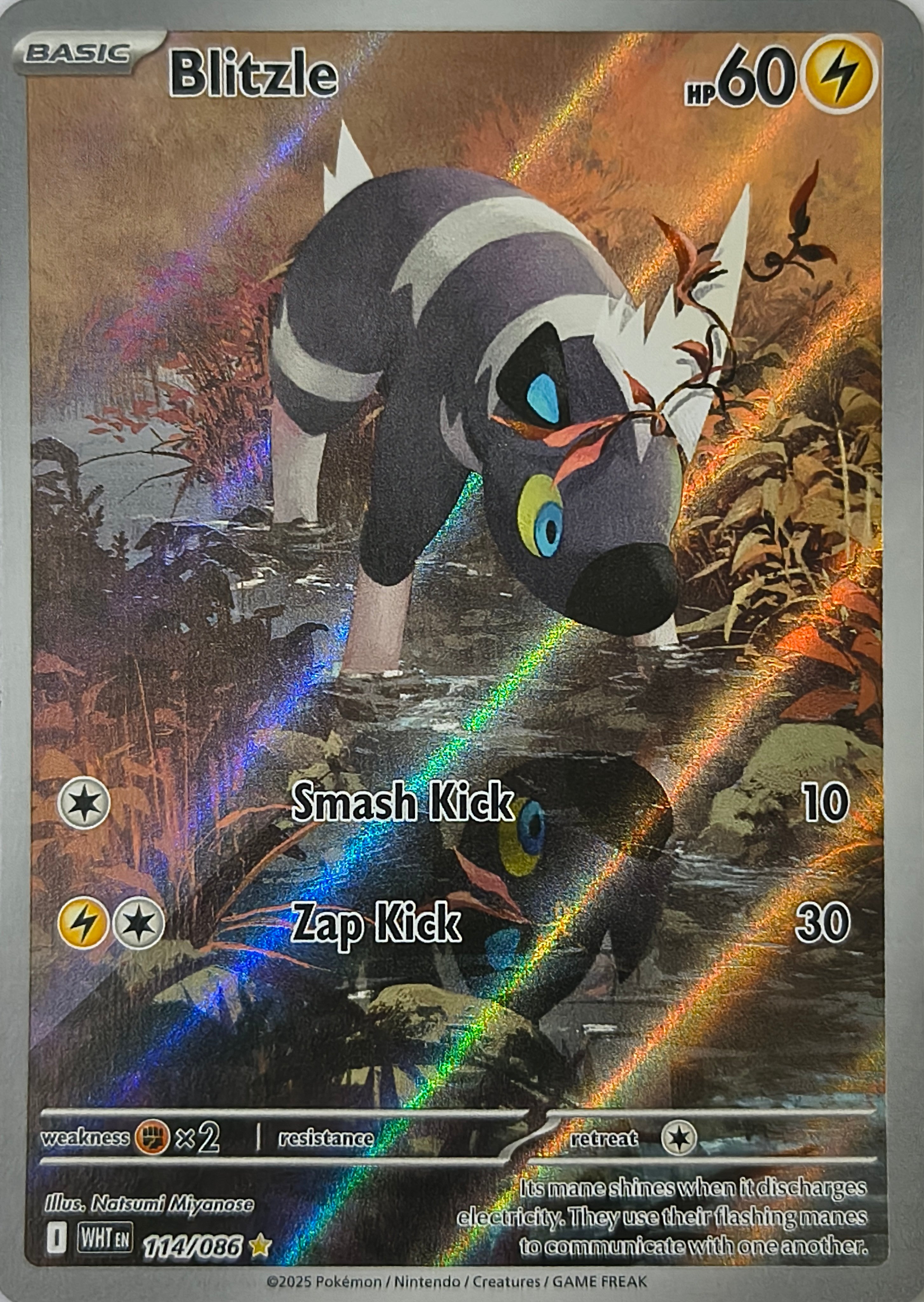 Pokémon tcg Blitzle 114/086